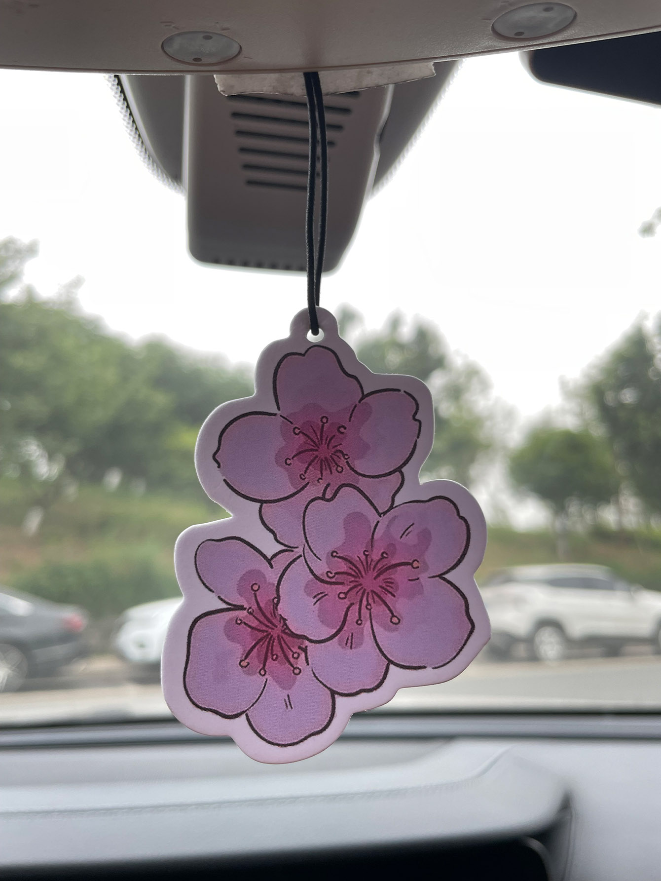Home Fragrance Non Toxic - サクラ／フリージアのフレッシュな香りが特徴の、五つ星評価のニュートラルな車用芳香剤。無毒で安全な空気清浄剤。 | 天然エッセンシャルオイルとアロマセラピー用香料タブレット（ノロイリ／グレープフルーツ／シダー） | 吊り下げ式で、通気クリップ付きの多目的タイプ |