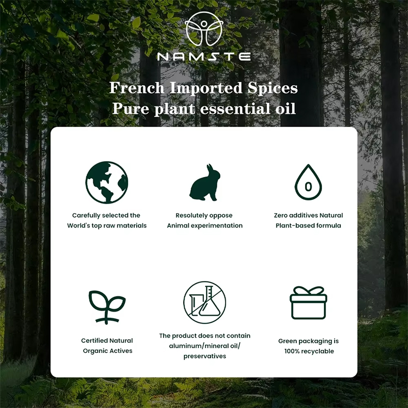 NAMSTE 100ML オイルディフューザー エッセンシャ - Home Fragrance Logo のレビューと価格